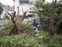 庭木伐採・草刈りを承ります。/ 静岡市葵区